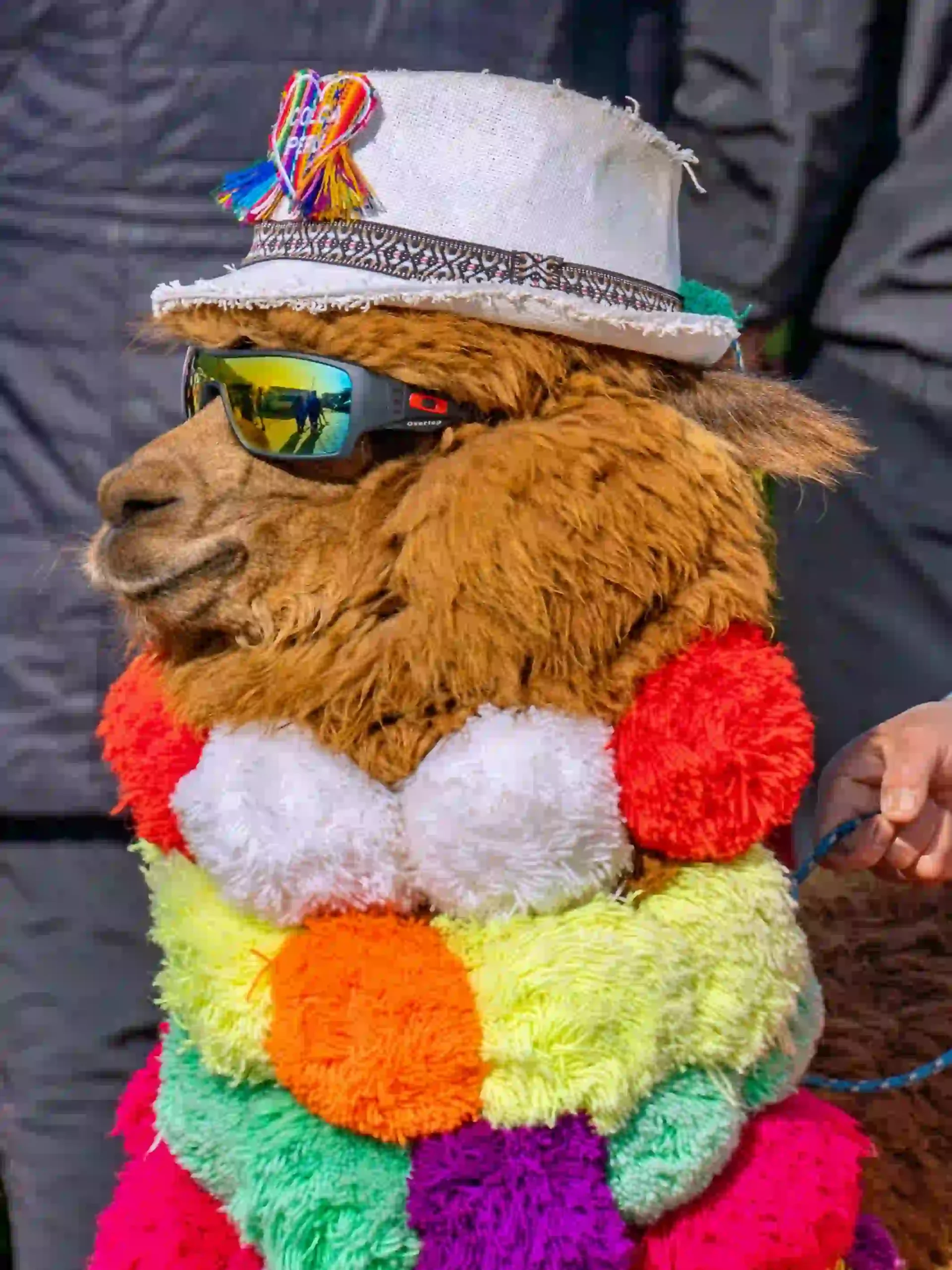 Cool goofy haircut meme pfp